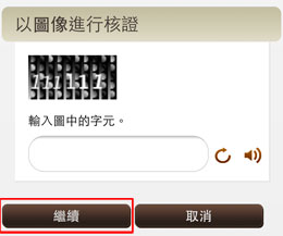 識別圖中的字元，或聆聽聲音片段中播放的字元